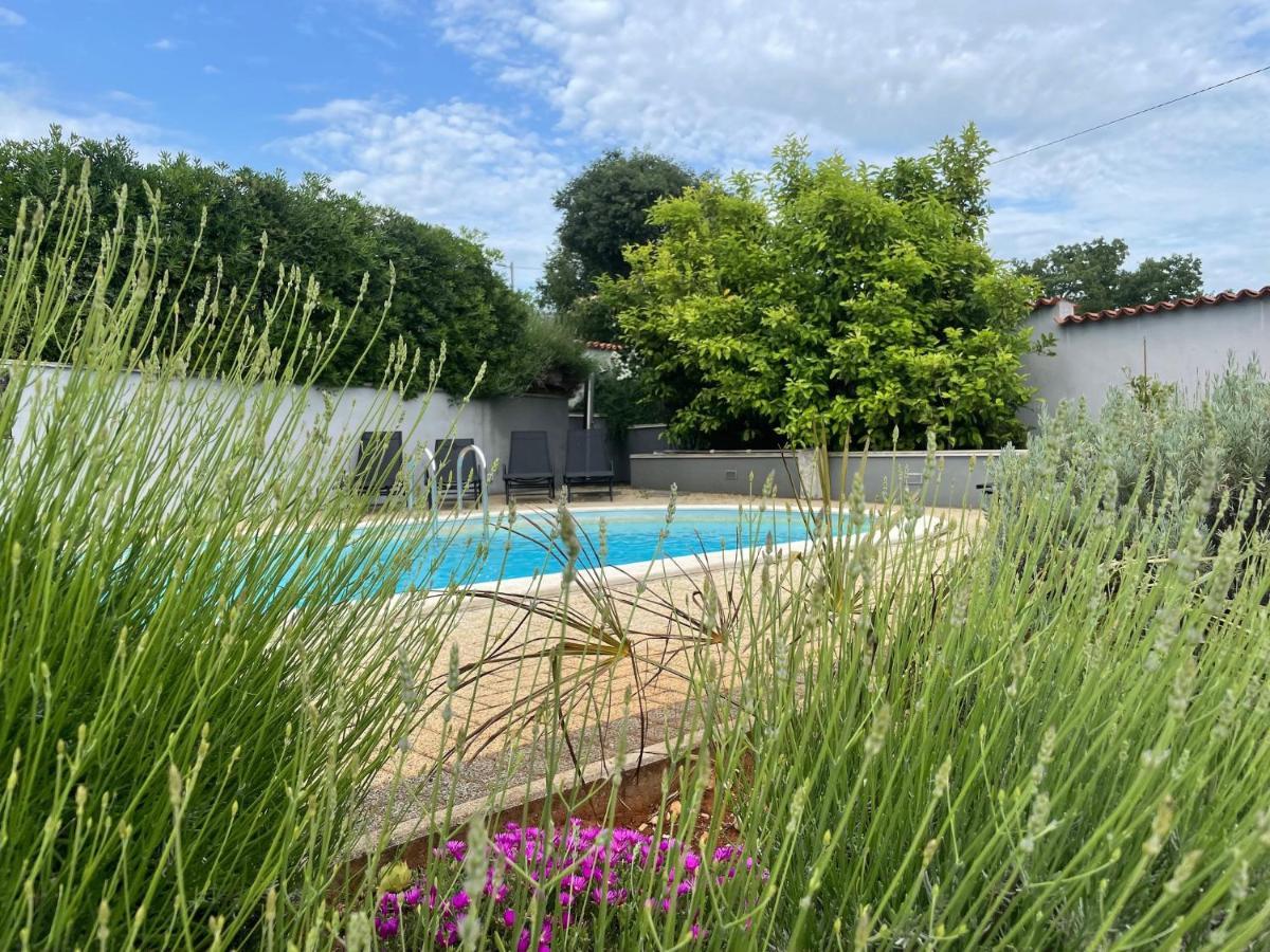 Villa Elisa Kaštelir Eksteriør billede